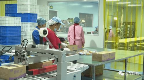 云夢(mèng)經(jīng)濟(jì)開(kāi)發(fā)區(qū) 以完善服務(wù)體系為抓手，實(shí)現(xiàn)政企雙贏的信息系統(tǒng)運(yùn)行維護(hù)新篇章